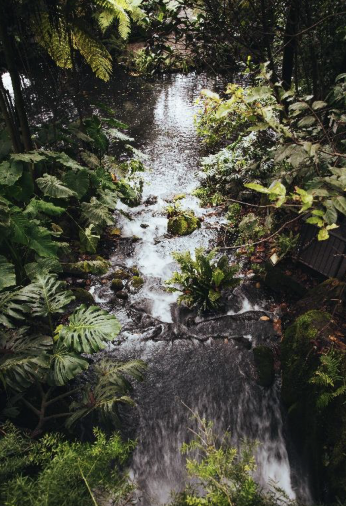 Agenda especial en el Jardín Botánico de Bogotá por la Semana Mundial del Agua 2026